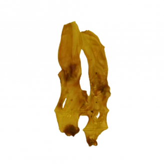 Ласощі для собак Petoni Planet натуральні - вуха кролика