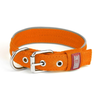 Нашийник Keeper Active нейлоновий посилений 2,5см помаранчевий
