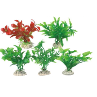Рослини акваріумні Moneyw 10см Рослини акваріумні Moneyw 10см