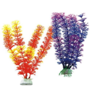 Рослини акваріумні ambulia 20см Рослини акваріумні ambulia 20см