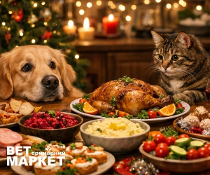 Святковий стіл домашніх тварин