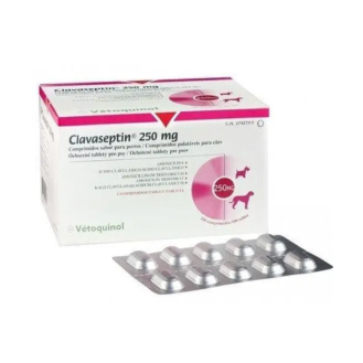 Клавасептин (Clavaseptin) 250 мг 1 таблетка Клавасептин (Clavaseptin) 250 мг 1 таблетка