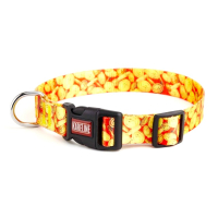 Нашийник нейлоновий Kareline Money 1,5см з візерунком