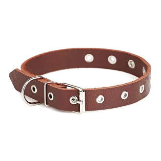 Нашийник з натуральної шкіри безрозмірний Kareline 2,5см коричневий
