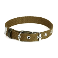 Нашийник брезент Kareline Practic 35мм зелений