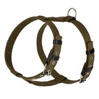 Шлейка брезентова стропа зі шкіряними накладками для собак Kareline 2 см зелена