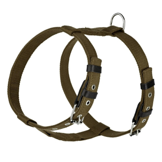 Шлейка брезентова стропа зі шкіряними накладками для собак Kareline 3,5 см зелена