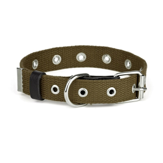 Нашийник брезент одинарний безрозмірний Kareline 25 мм зелений