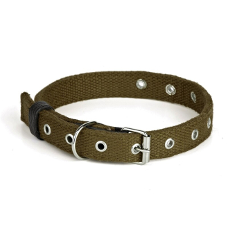 Нашийник брезент подвійний безрозмірний Kareline Practic 25 мм зелений