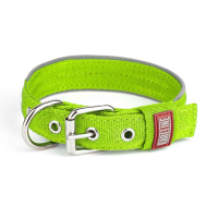 Нашийник Keeper Active нейлоновий посилений 2,5см салатовий Нашийник Keeper Active нейлоновий посилений 2,5см салатовий