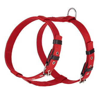 Шлейка брезентова стропа зі шкіряними накладками для собак Kareline 2,5 см червона