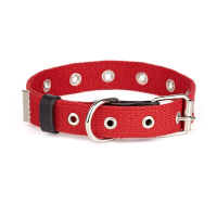 Нашийник брезент одинарний безрозмірний Kareline 25 мм червоний