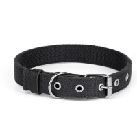 Нашийник брезент подвійний Kareline Practic 3,5 см чорний