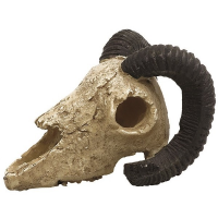 Водний декор для акваріума Tatrapet Ram Scull 6*5*5 см Водний декор для акваріума Tatrapet Ram Scull 6*5*5 см