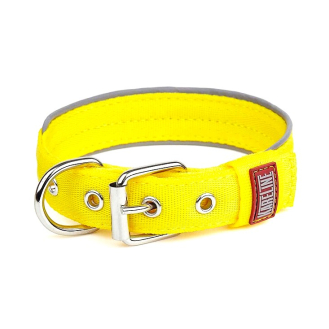 Нашийник Keeper Active нейлоновий посилений 2см жовтий