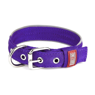 Нашийник Keeper Active нейлоновий посилений 2см фіолетовий