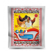 МОРСЬКА РАКУШКА мушля (дрібна)  1кг Круг