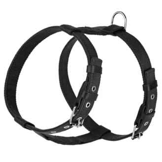 Шлейка брезентова стропа зі шкіряними накладками для собак Kareline 3,5 см чорна