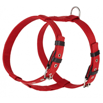 Шлейка брезентова стропа зі шкіряними накладками для собак Kareline 3,5 см червона