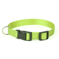 Нашийник нейлоновий Kareline з світловідбивною ниткою 2 см салатовий