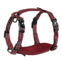 Шлейка нейлонова для собак Alcott Adventure L- червона Шлейка нейлонова для собак Alcott Adventure L- червона