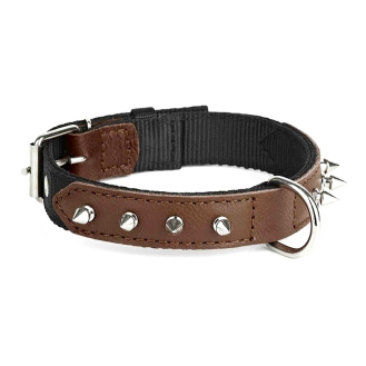Нашийник з нейлону та шкіри з шипами Kareline 2,5см 37-44см коричневий