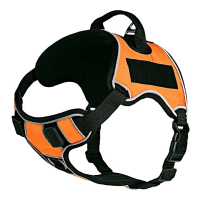 Шлея нейлонова  для собак середніх і великих порід Вefore Quest S помаранчева