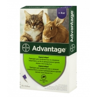 Краплі на холку для котів  Advantage проти бліх від 4 до 8 кг (ціна за 1шт)