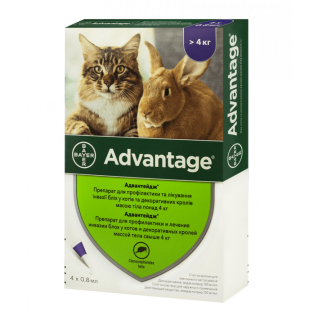 Advantage 80 — протипаразитарні краплі на холку для котів вагою 4-8 кг, 1 піпетка